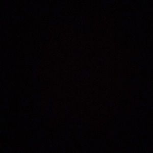 Meet your Posher, Maggie